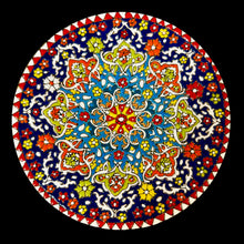 Load image into Gallery viewer, Hand Painted Enamel on Clay Plates Minakari Wall Hanging Wall Art