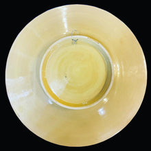 Load image into Gallery viewer, Hand Painted Enamel on Clay Plates Minakari Wall Hanging Wall Art