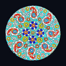 Load image into Gallery viewer, Hand Painted Enamel on Clay Plates Minakari Wall Hanging Wall Art