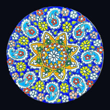 Load image into Gallery viewer, Hand Painted Enamel on Clay Plates Minakari Wall Hanging Wall Art