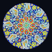 Load image into Gallery viewer, Hand Painted Enamel on Clay Plates Minakari Wall Hanging Wall Art