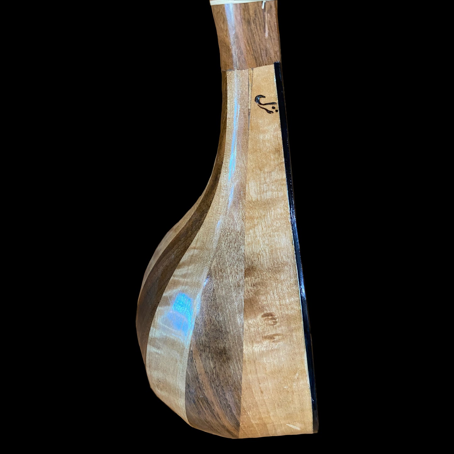 Persian Music Instruments Tar & Setar