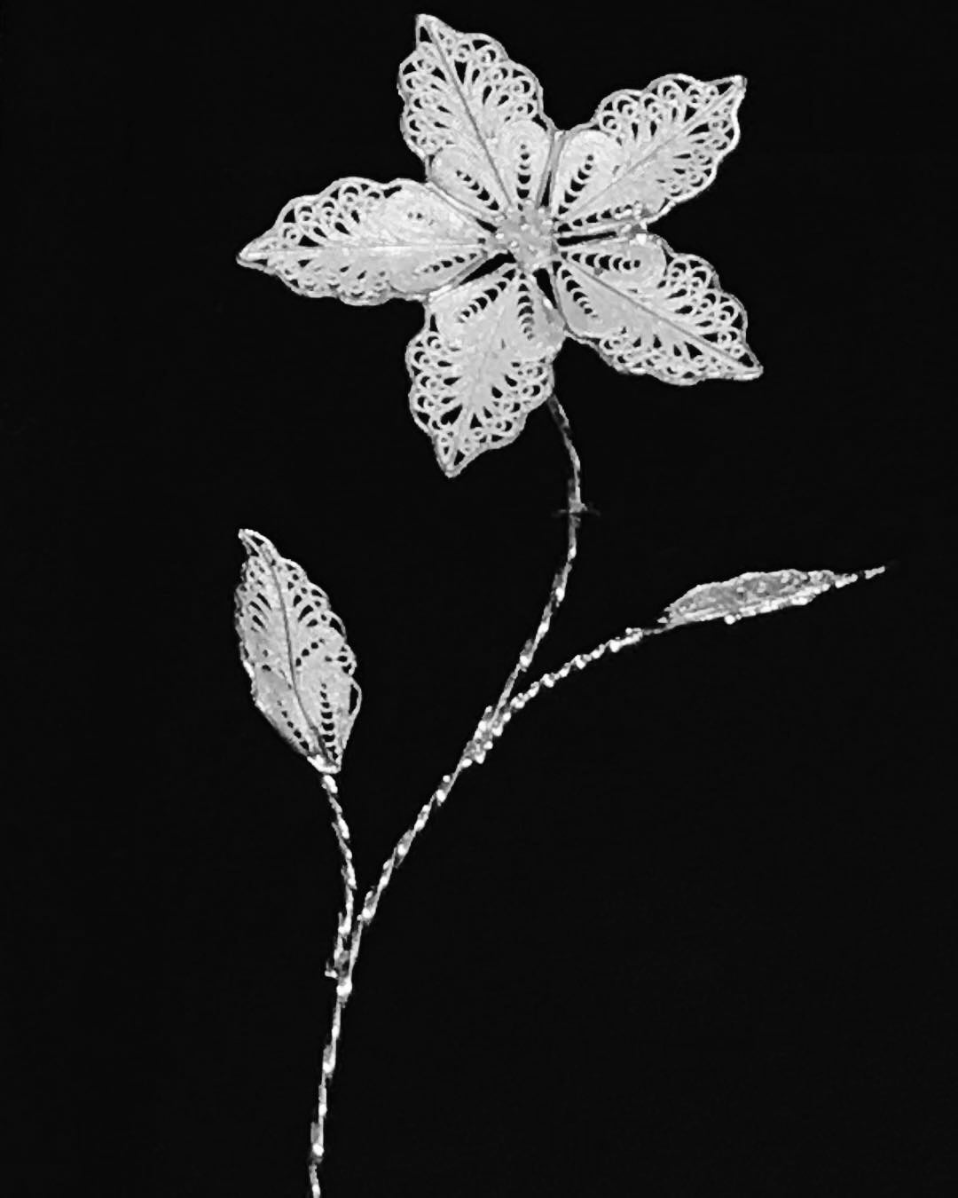 Handmade Filigree Silver Flower Frames