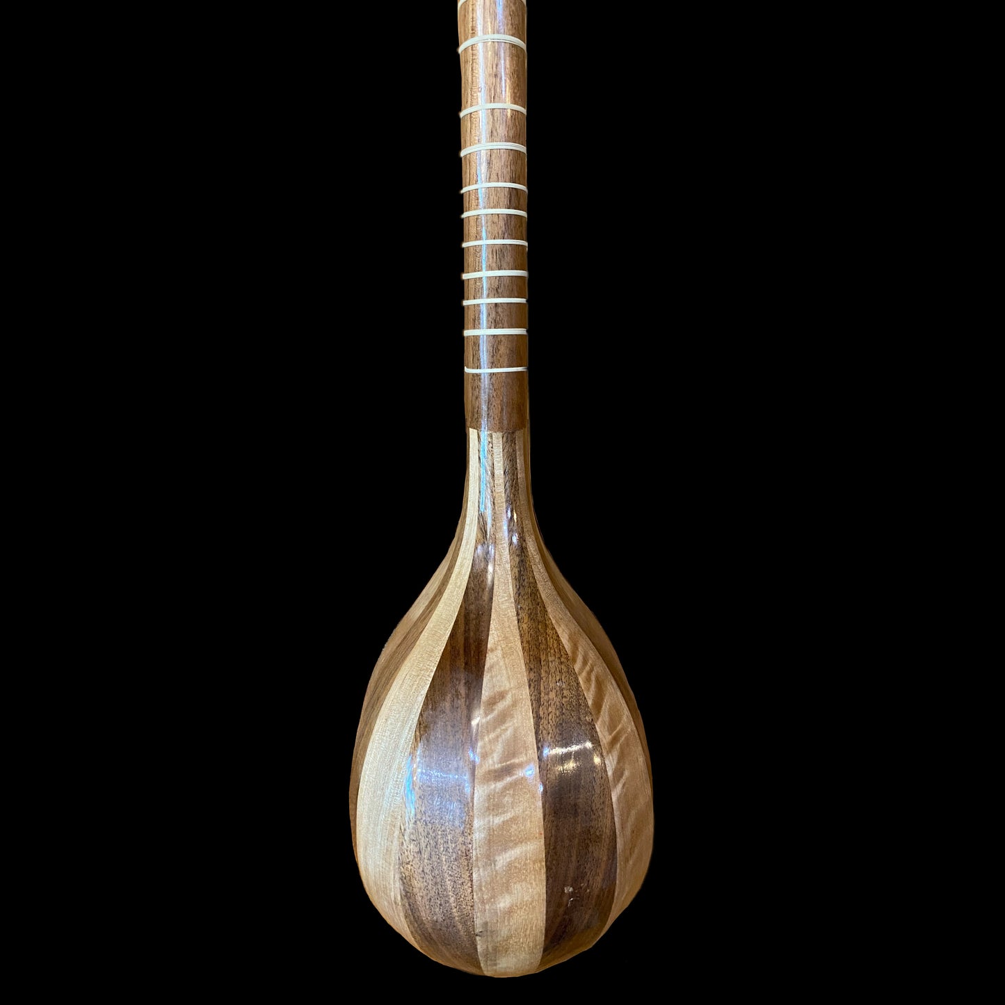 Persian Music Instruments Tar & Setar