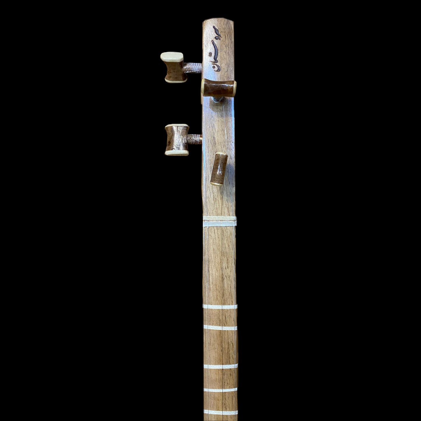Persian Music Instruments Tar & Setar
