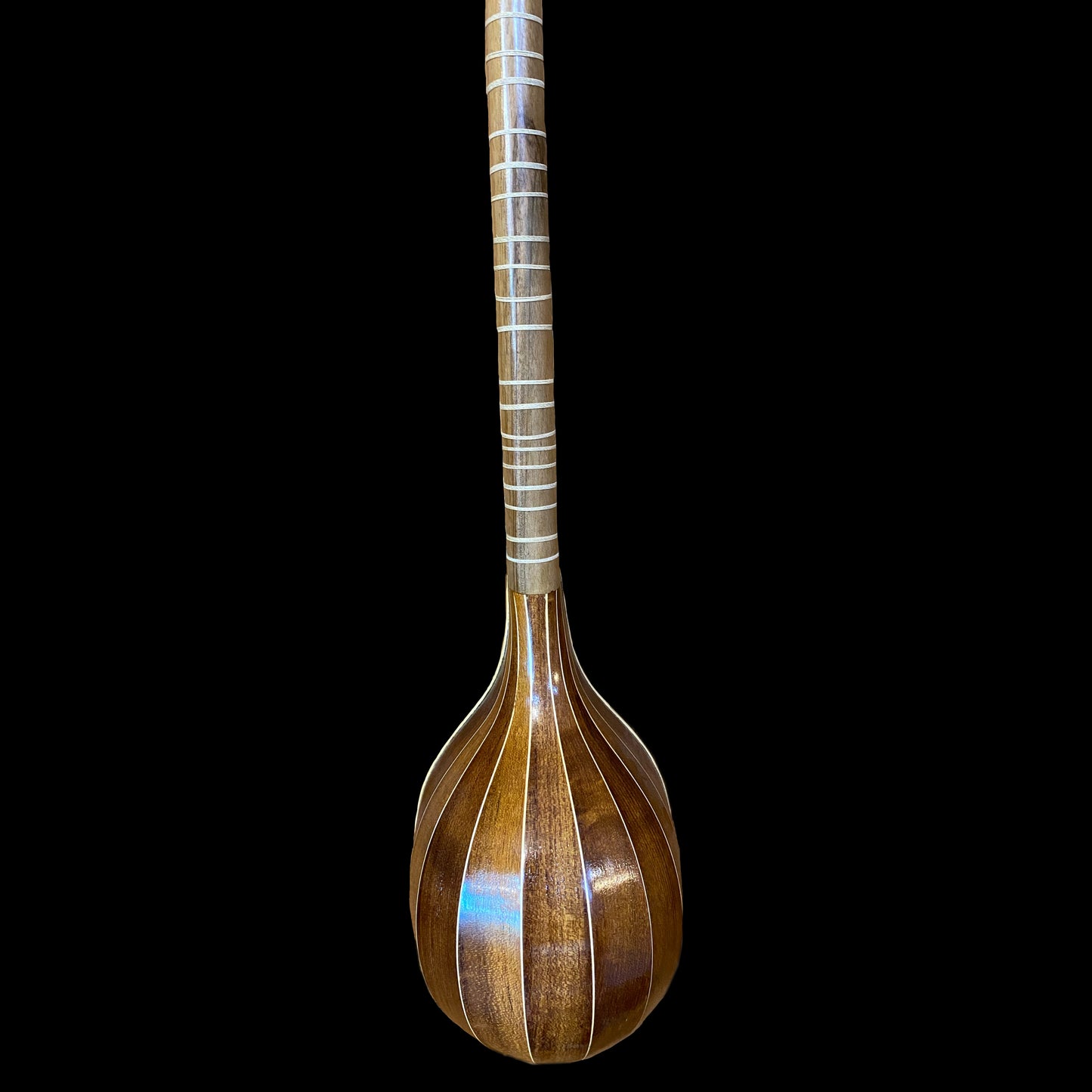 Persian Music Instruments Tar & Setar