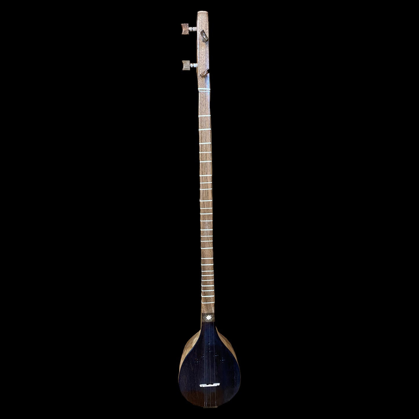 Persian Music Instruments Tar & Setar